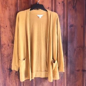 Buttery Soft Market & Spruce Cardigan Sweater